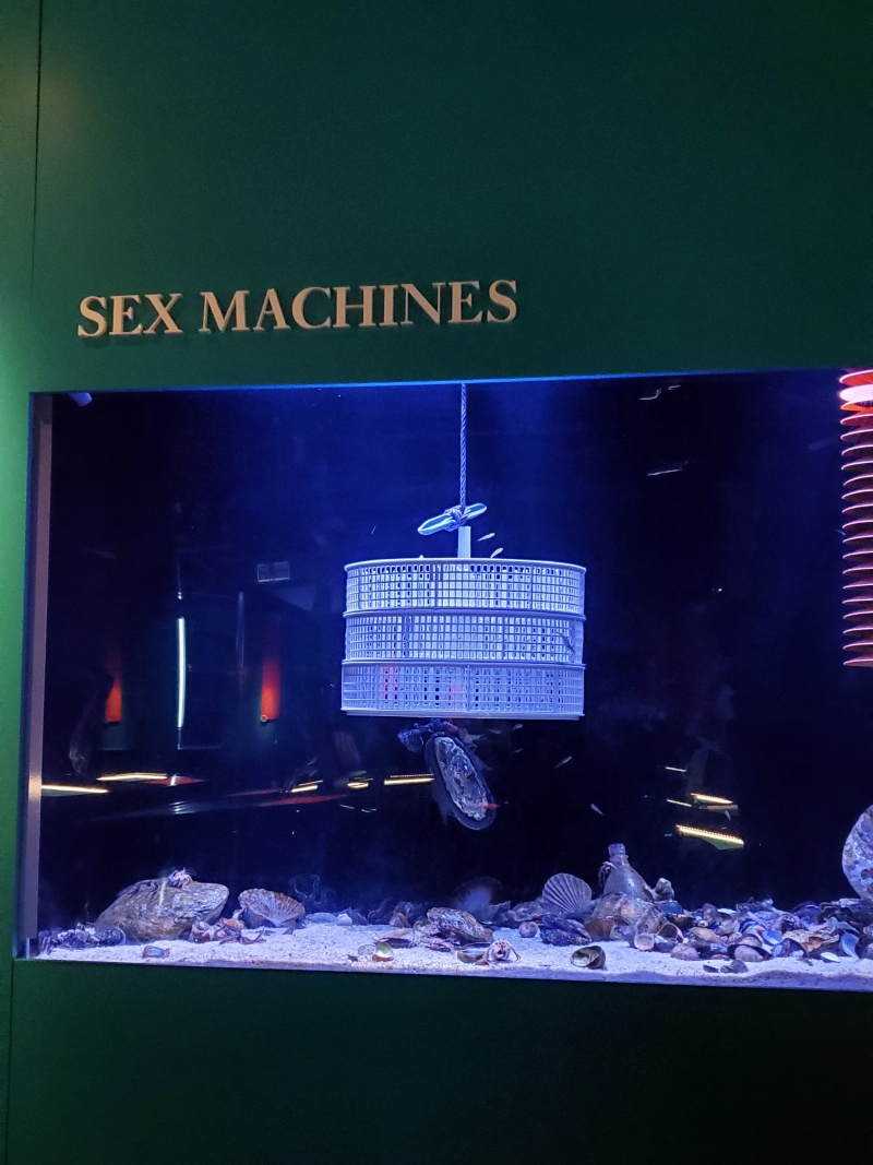 La Coruna aquarium