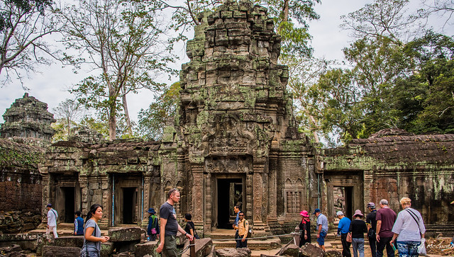 2019 - Cambodia - Siem Reap - Ta Prohm - 17