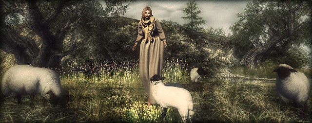 ► ﹌Dessine moi un mouton ...◄