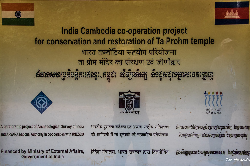 2019 - Cambodia - Siem Reap - Ta Prohm - 30