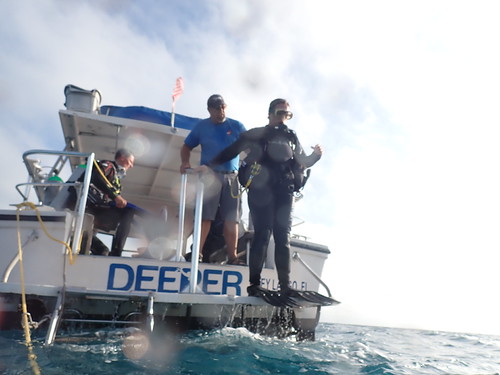 PADI Scuba Certification Headquarters In Key Largo | by Sail Fish Scuba