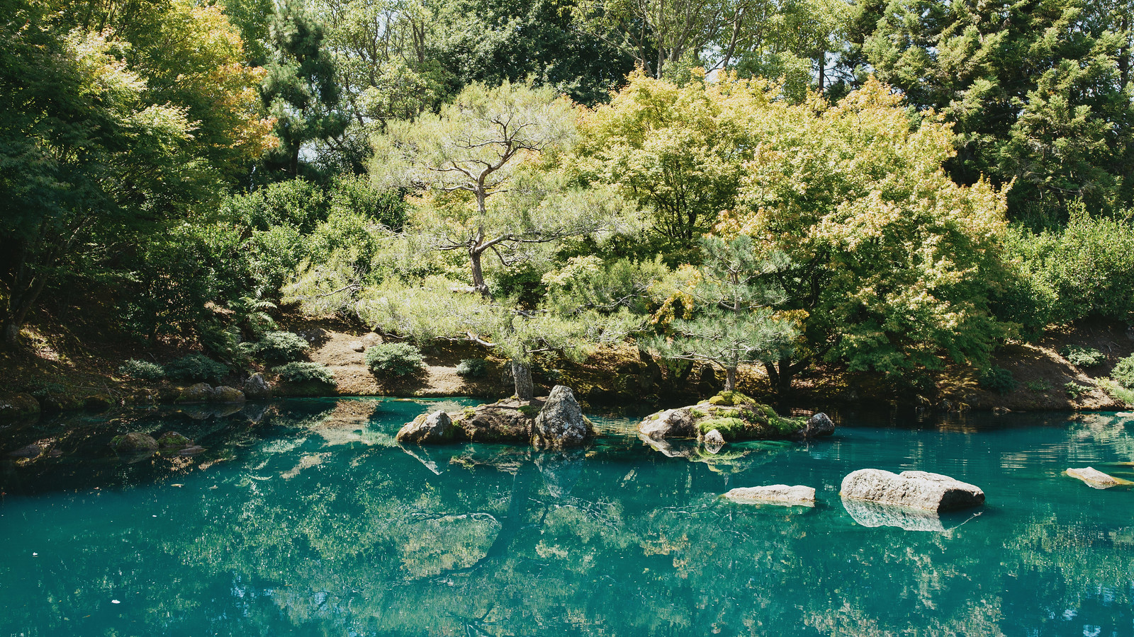 Japanese Garden of Contemplation