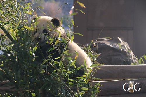 Besuch Zoo Berlin 08.02.2019