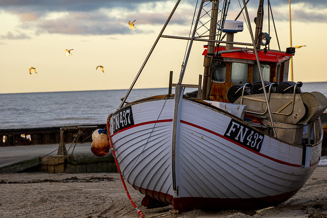 Fishing boat on the beach early in the morning, with the golden seagull flying behind the boat