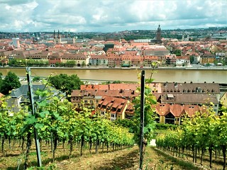 The beautiful old city of Wurzburg behind vineyard