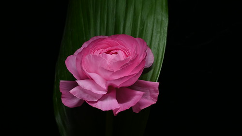 Different light | by manni0656