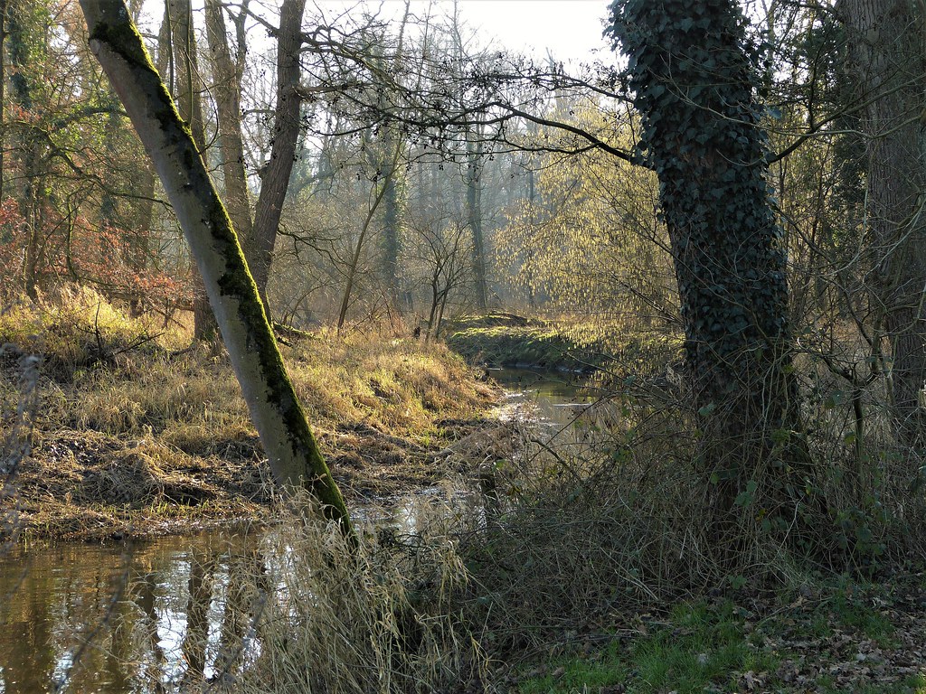 Stream Boven Slinge in nature area Bekendelle