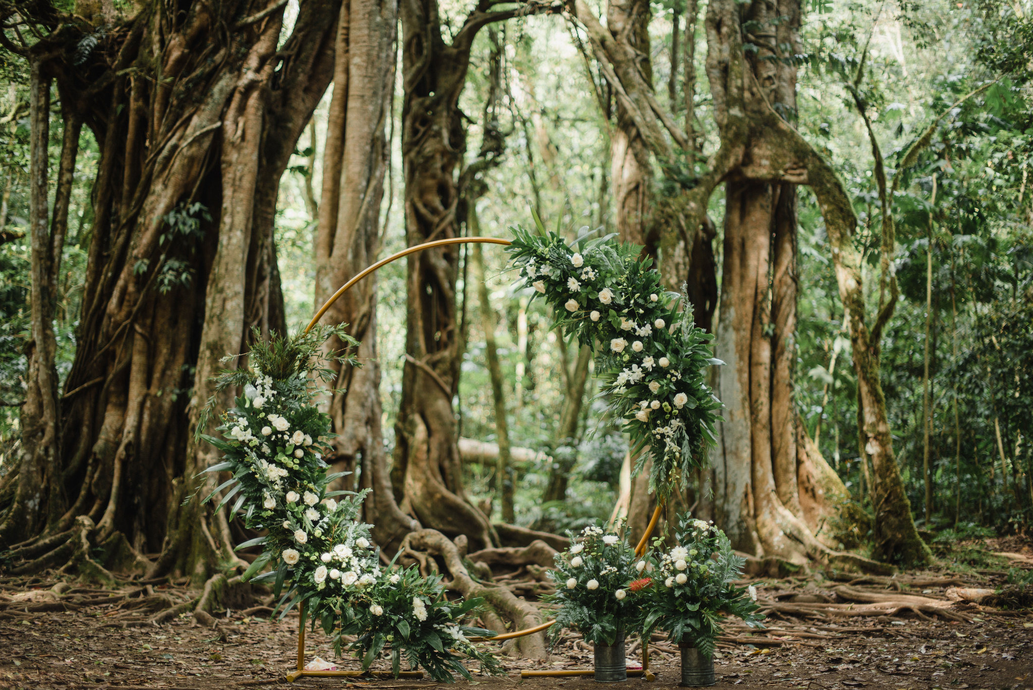Rain-forest-Elopement-Wedding-11