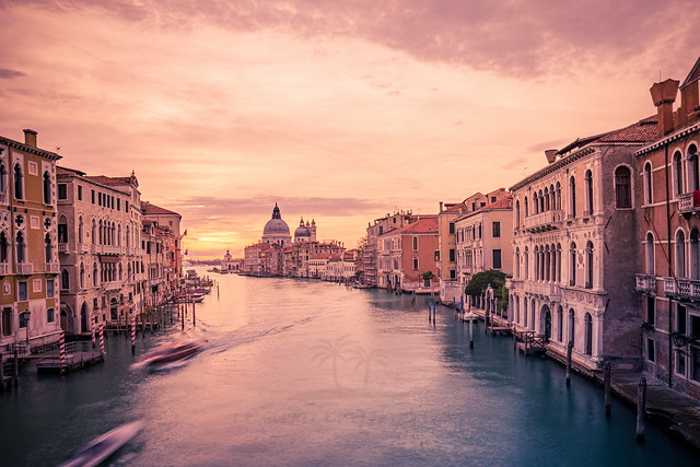 Dreams in Venice