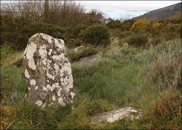 Graves of the Leinstermen