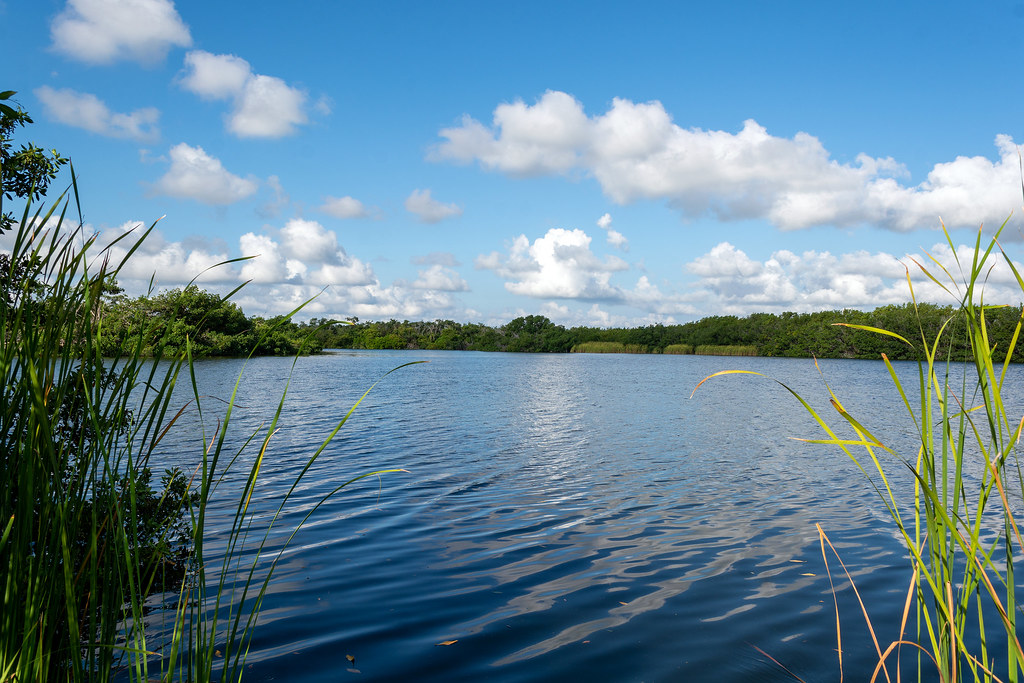Everglades National Park | Everglades National Park is an Am… | Flickr