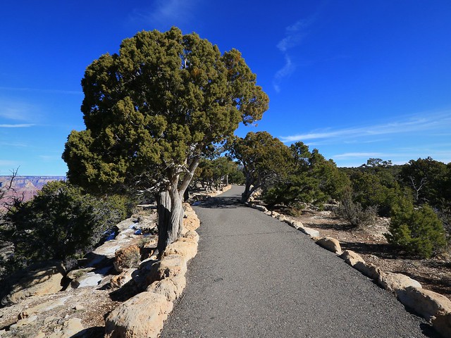 Path Along Rim of Grand Canyon 7D2_5163