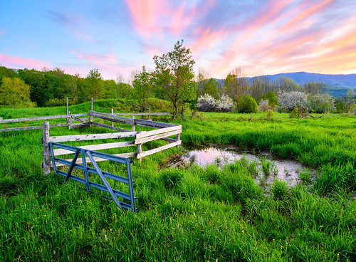 grass corral spring landscape flowers puddle reflection mountains rural clouds pond trees gate waitsfield water vt vermont pink twilight sunset outdoors green sky mountain springtime fence unitedstatesofamerica scenic nature tranquil nopeople ruralscene scenery