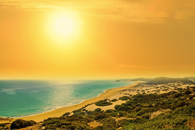 Kuzey Kıbrıs Altın Kum Plajı (North Cyprus Golden Sand Beach)