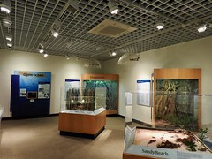Bermuda Aquarium, Museum and Zoo