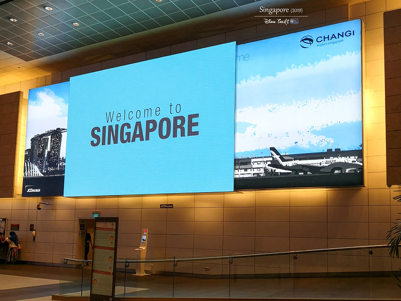 2019 Singapore Changi Airport