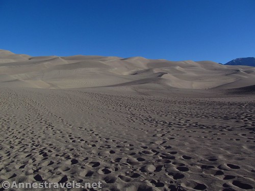 Early morning and yesterday's footprints below the dunes, Great Sand Dunes National Park, Colorado