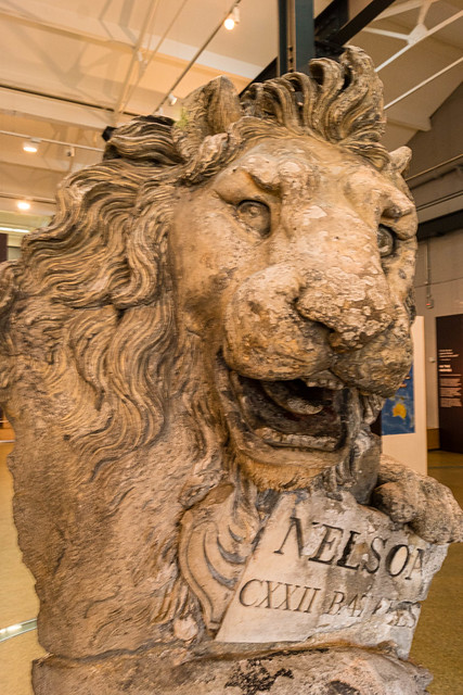 Nelson's lion