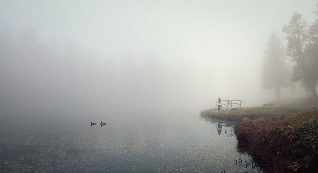 Foggy Lake Scenery