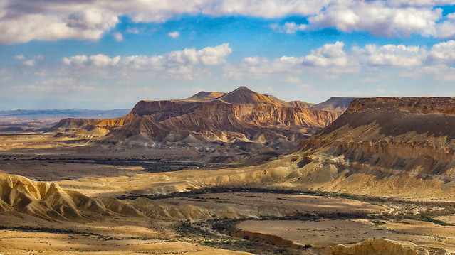 Negev Desert Landscape - Harmony