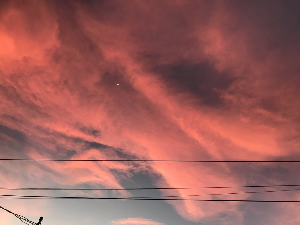 Cielo Rosado / Pink Sky