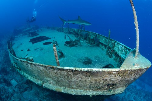 Austin Smith wreck