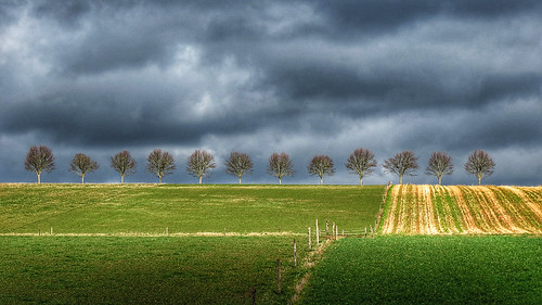geo:lat=5146809797 geo:lon=937687397 geotagged landscape darkclouds clouds cloudscape agriculture trees treerow fence landscapephotography