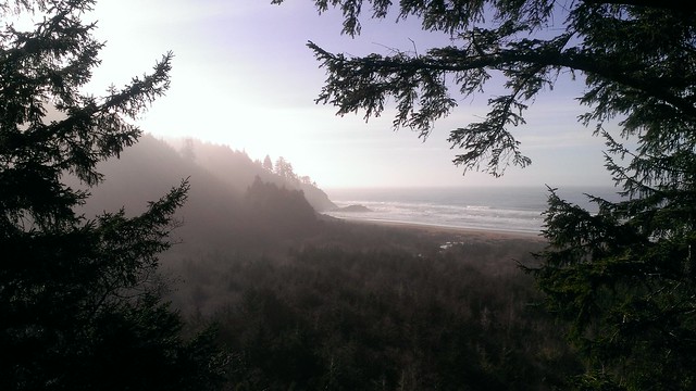 Beard's Hollow Trail, Cape Disappointment State Park  12/24/2013