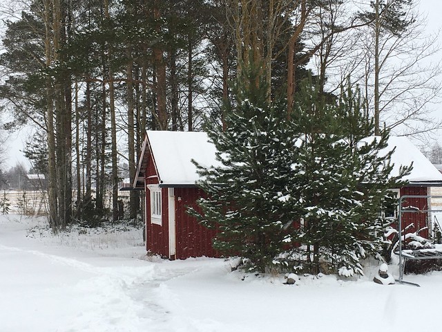 Sauna in winter