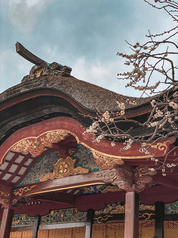 Dazaifu Tenmangu Shrine 太宰府天満宮