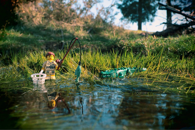 See you later alligator After 'while crocodile #LegoScenes #CenasLego #lego #legography #legomacro #macro #minifigures #legominifigures #minifigs #legominifigs #autumn #canon #crocodile #alligator #fish #fishing #green #nature #water
