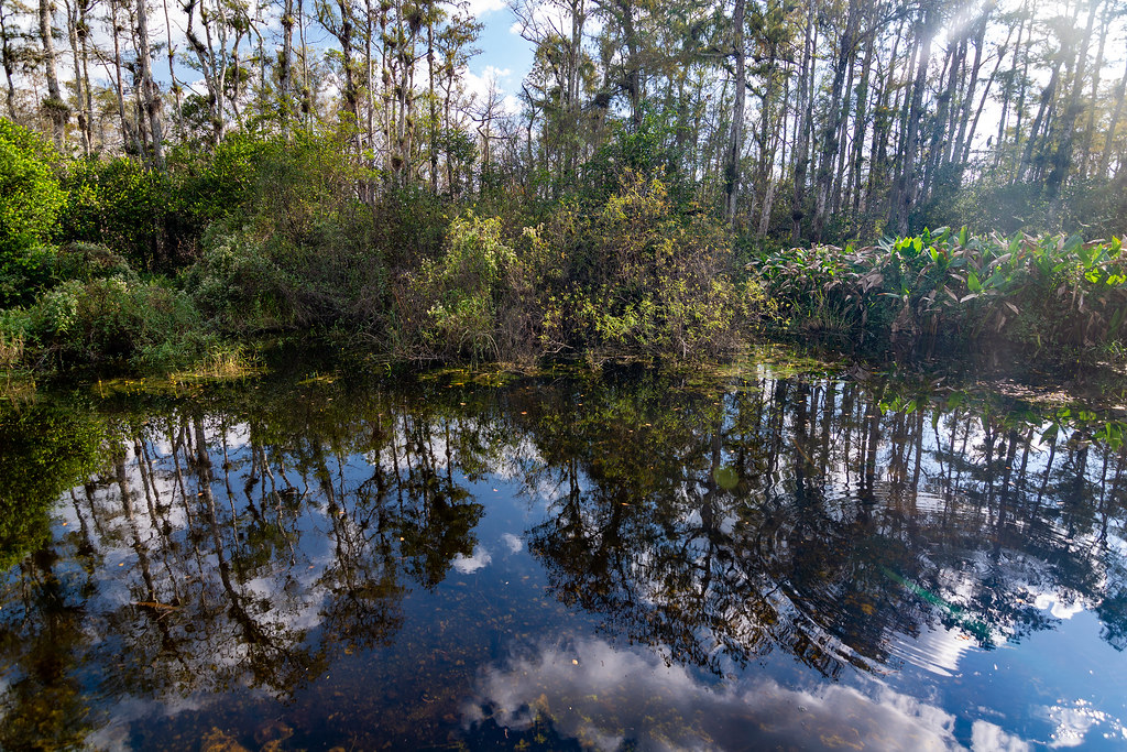 Roberts Lakes Trail