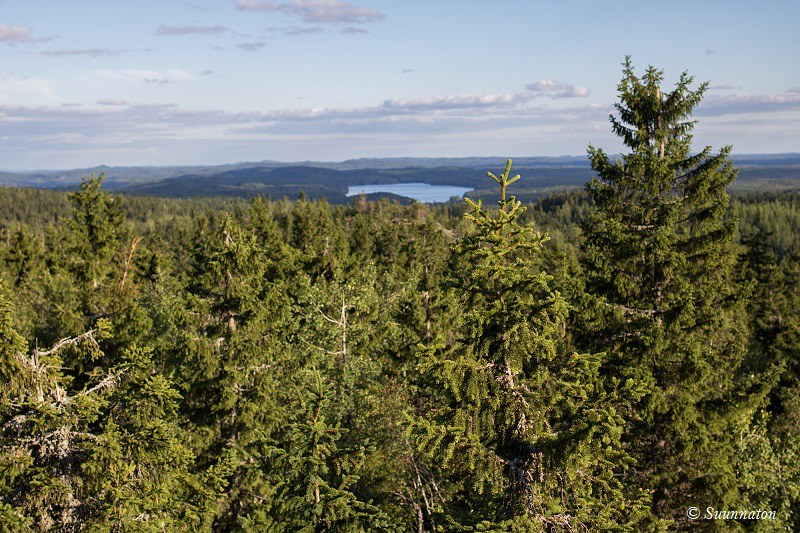 Pohjois-Karjalan kansallispuistot: Koli ja Patvinsuo