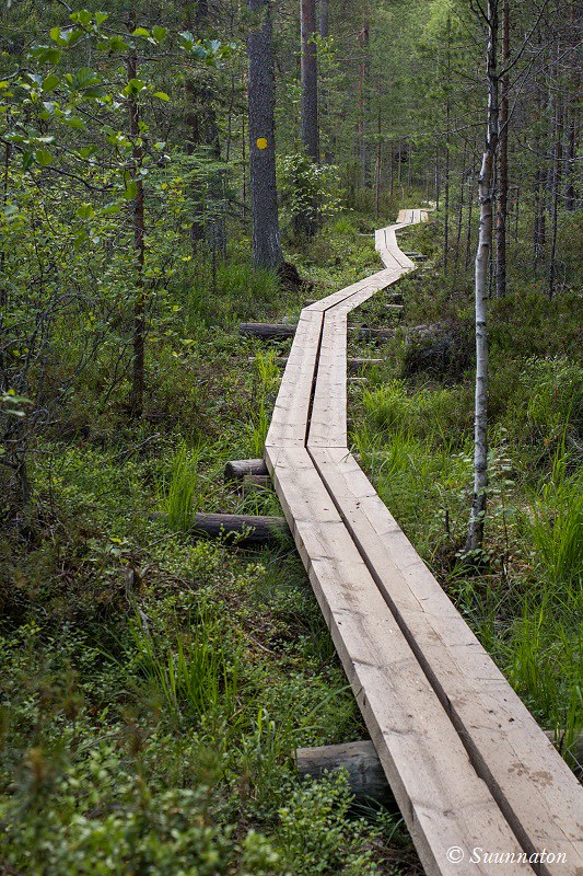 Etelä-Konneveden kansallispuisto, pitkospuut