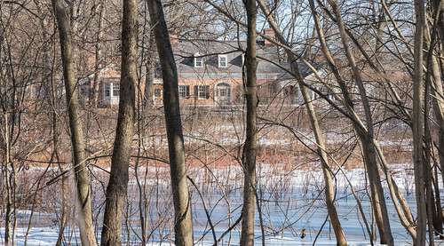 brushwood day lakecountyforestpreserves landscape light nature outdoors riverwoods ryersonwoods snow tree winter ice frozen