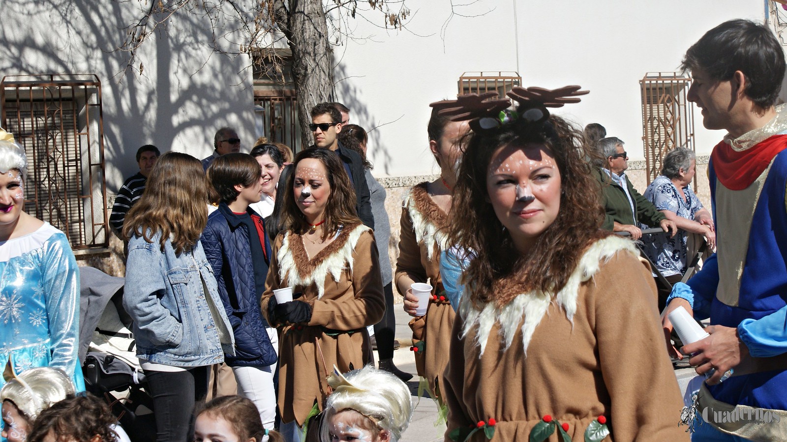 desfile-escolar-carnaval-2020-tomelloso (280)