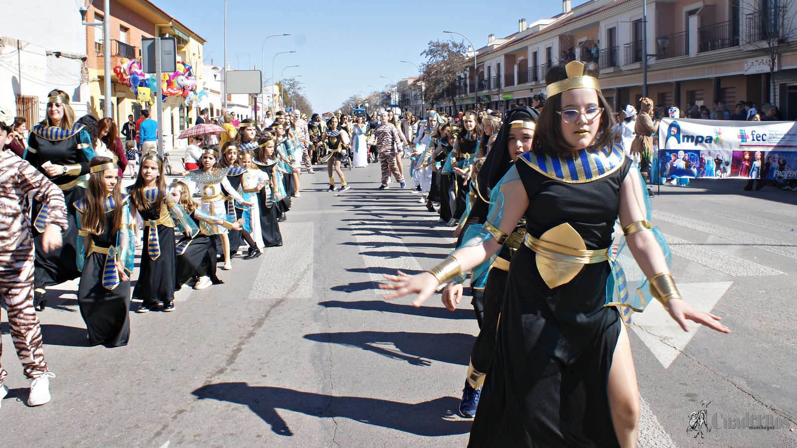 desfile-escolar-carnaval-2020-tomelloso (266)