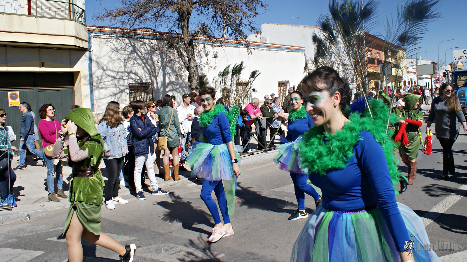 desfile-escolar-carnaval-2020-tomelloso (254)