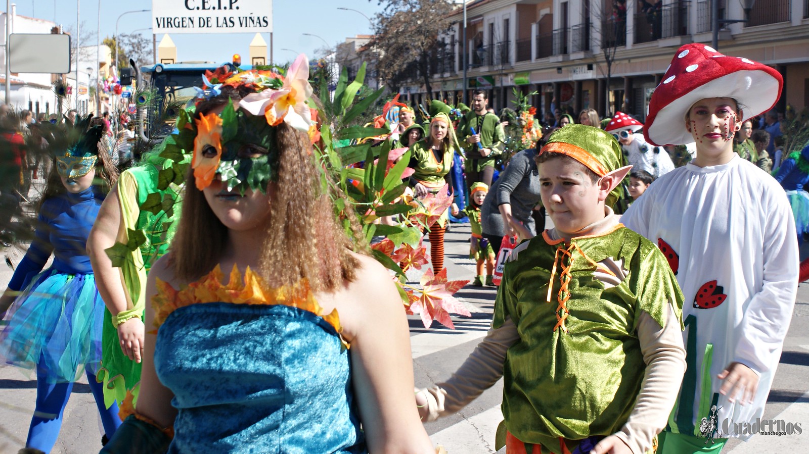 desfile-escolar-carnaval-2020-tomelloso (252)