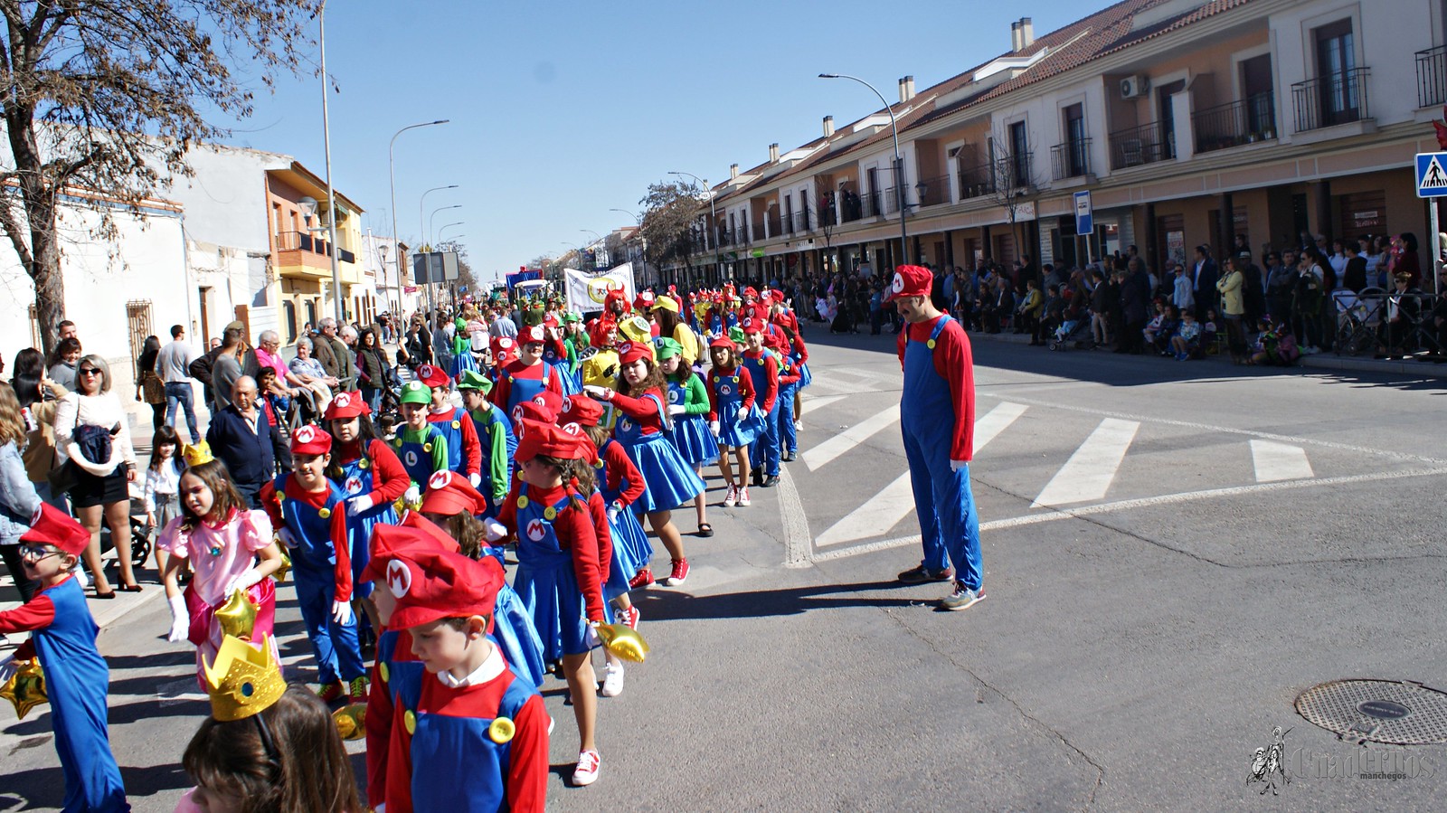 desfile-escolar-carnaval-2020-tomelloso (162)