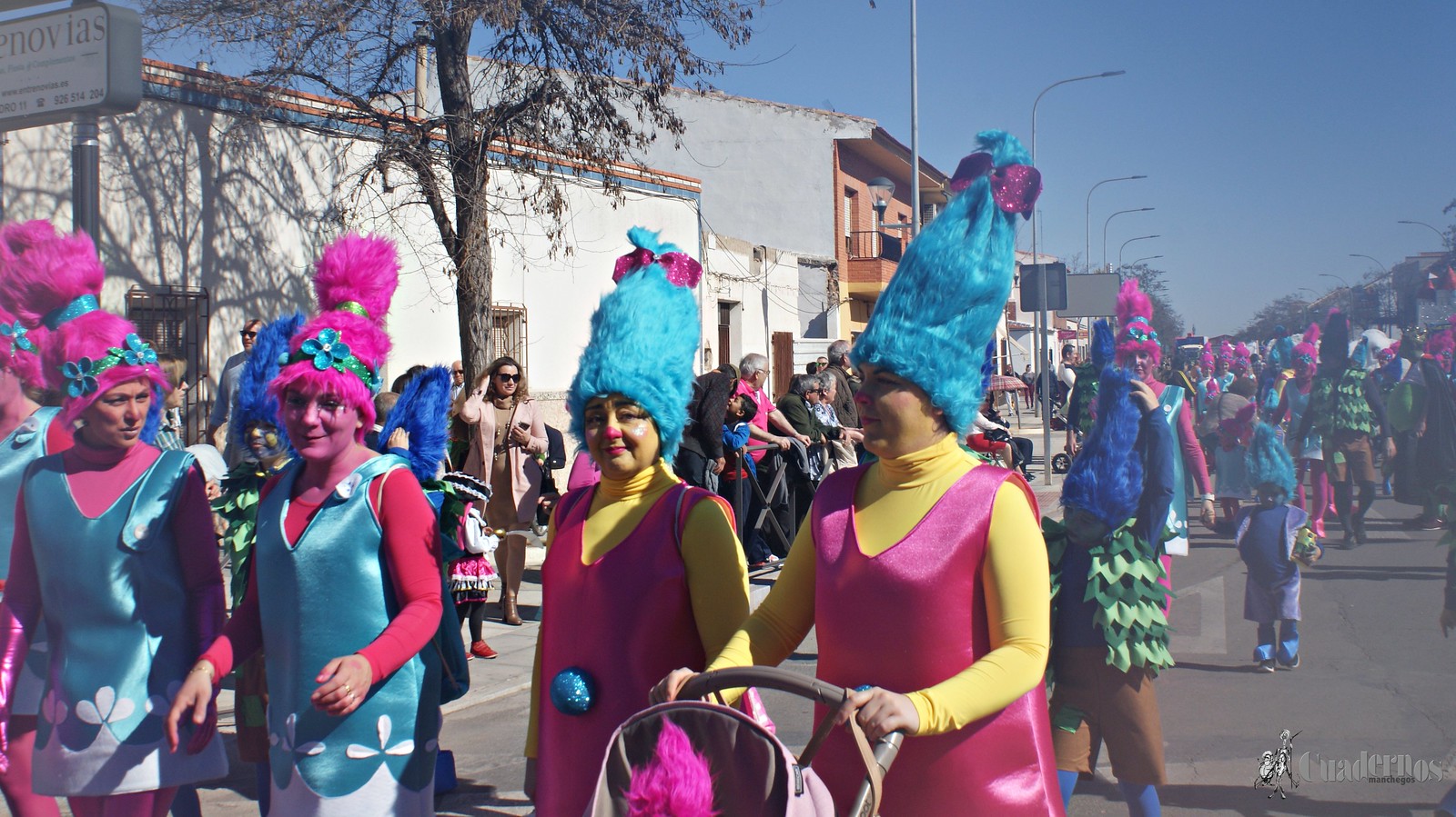 desfile-escolar-carnaval-2020-tomelloso (123)