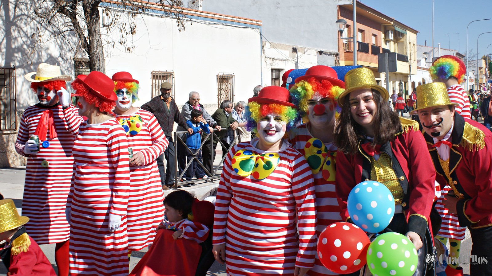 desfile-escolar-carnaval-2020-tomelloso (66)
