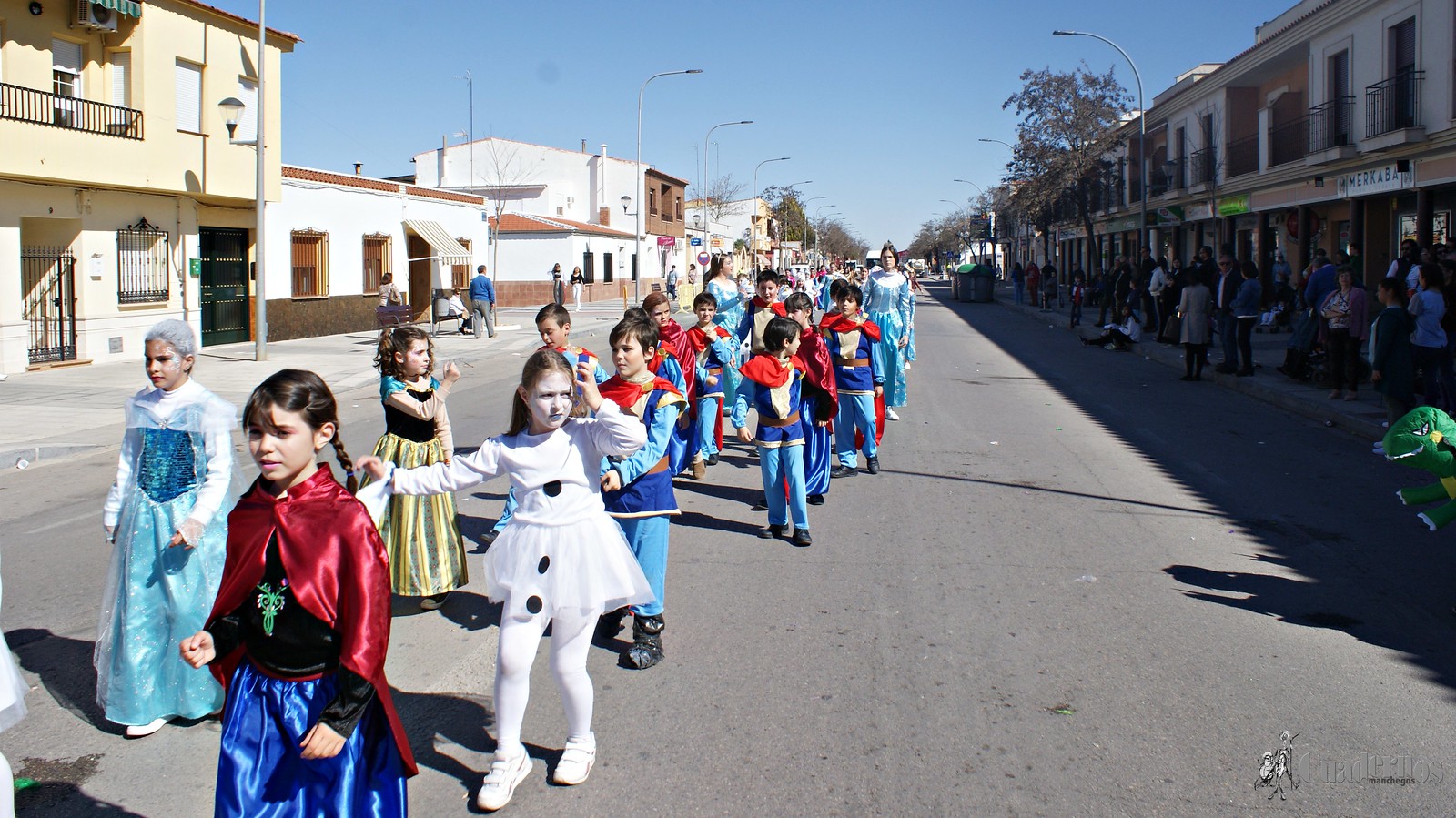 desfile-escolar-carnaval-2020-tomelloso (299)