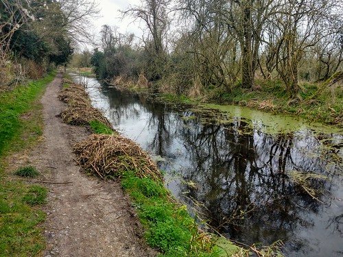 Wendover Arm Canal 