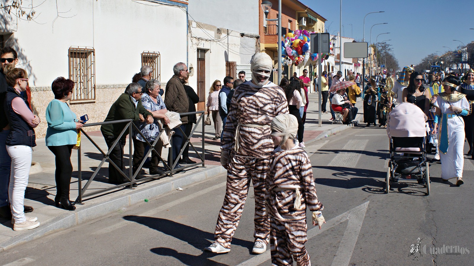 desfile-escolar-carnaval-2020-tomelloso (272)