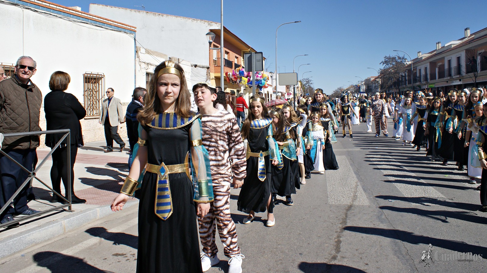 desfile-escolar-carnaval-2020-tomelloso (265)