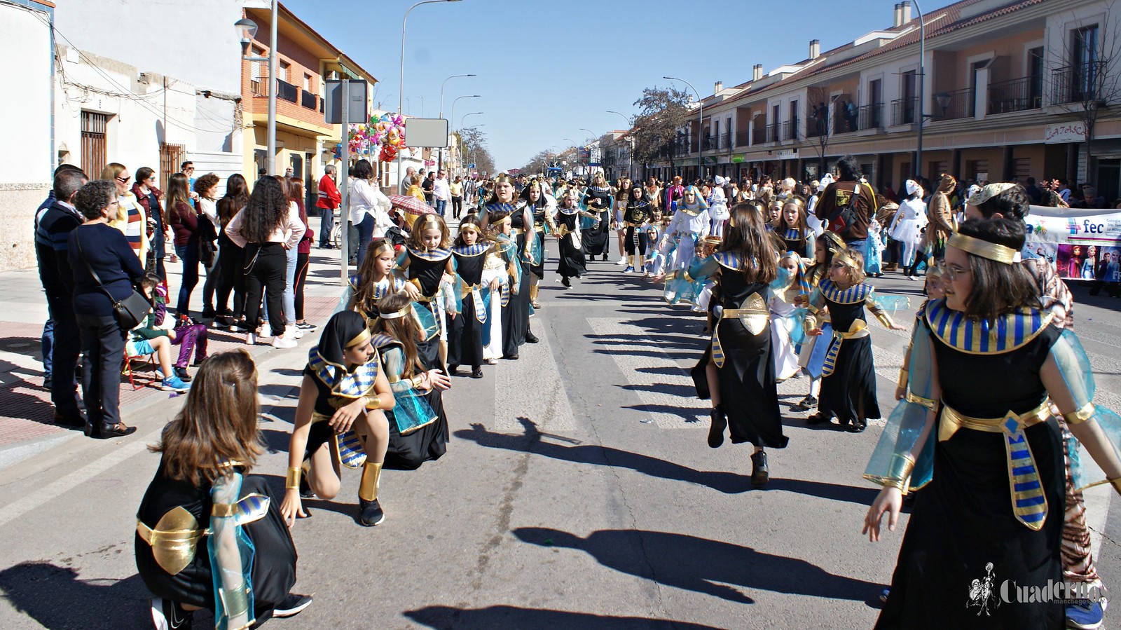 desfile-escolar-carnaval-2020-tomelloso (262)