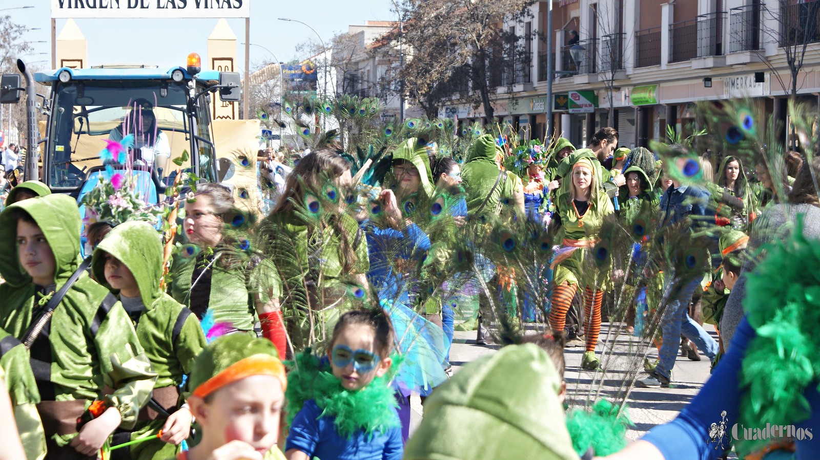 desfile-escolar-carnaval-2020-tomelloso (249)