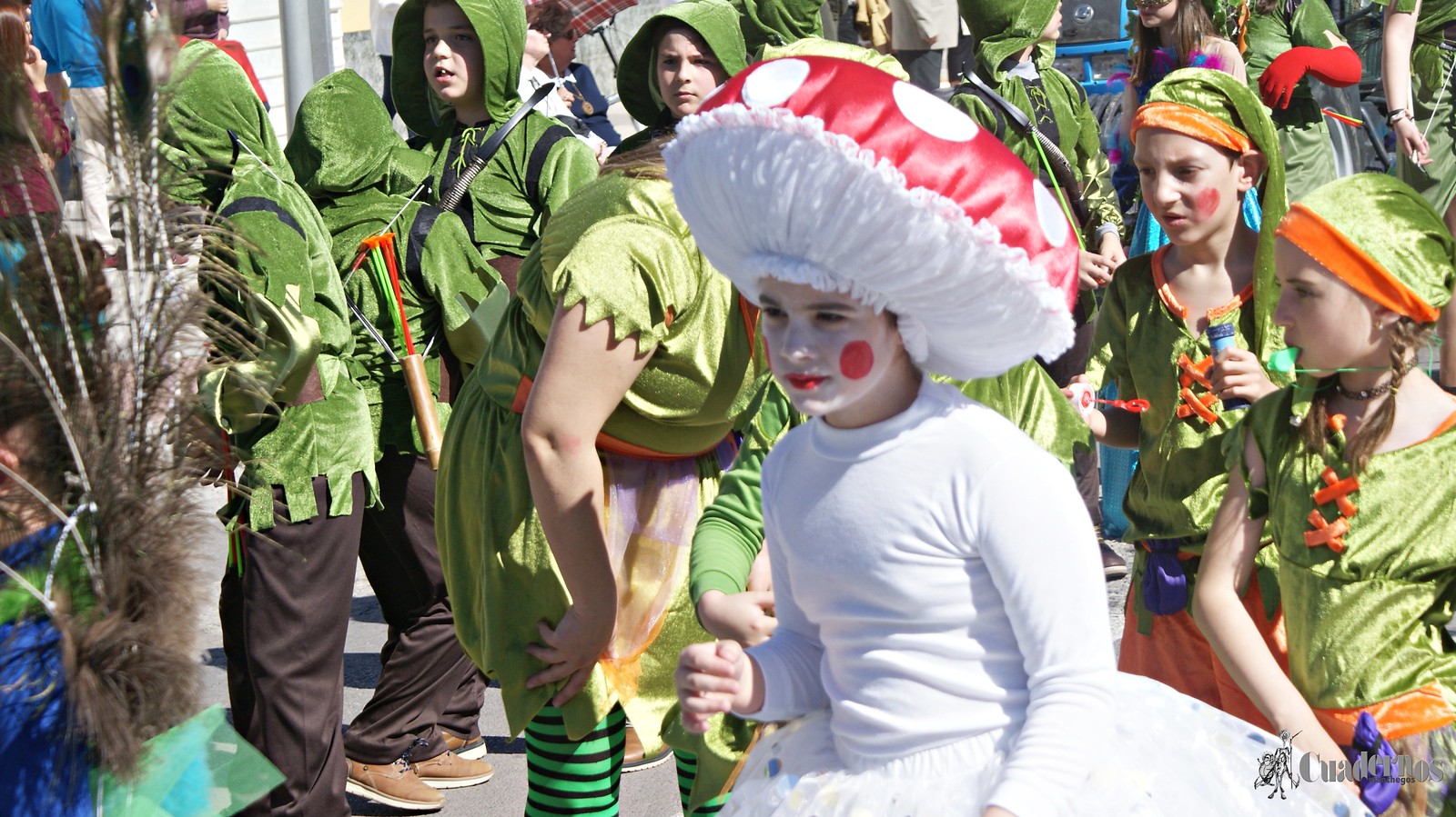 desfile-escolar-carnaval-2020-tomelloso (248)