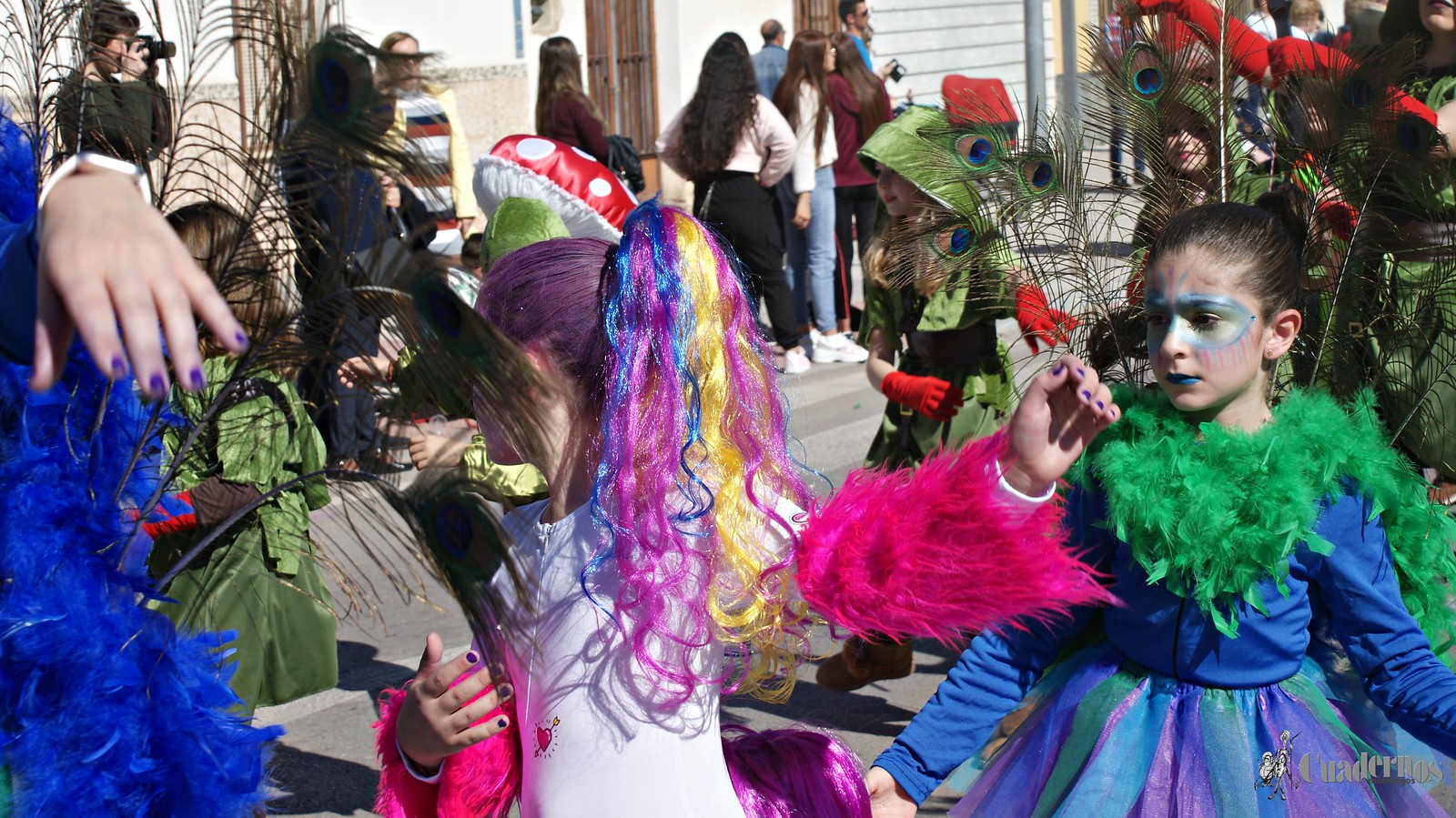 desfile-escolar-carnaval-2020-tomelloso (246)